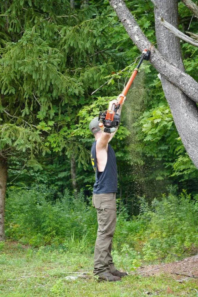 Professional lawn mowing service in Westerlo, NY by Mack Tree Service