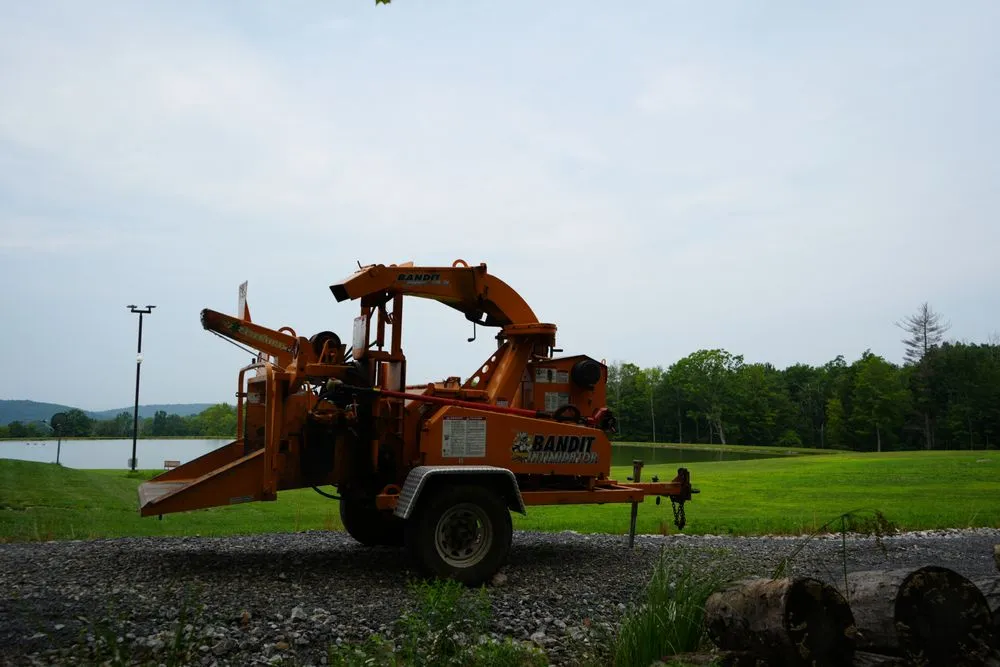 Reliable yard maintenance for beautiful yards in Westerlo, NY by Mack Tree Service