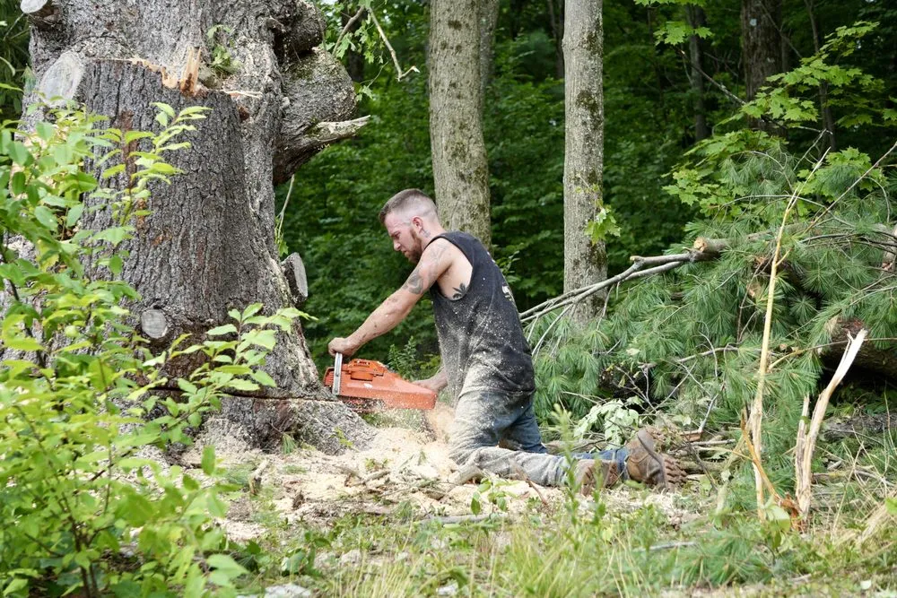 Top-rated lawn mowing service for outdoor upgrades in Westerlo, NY by Mack Tree Service