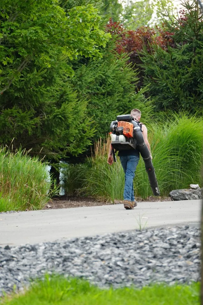 Local lawn mowing service for beautiful yards in Westerlo, NY by Mack Tree Service
