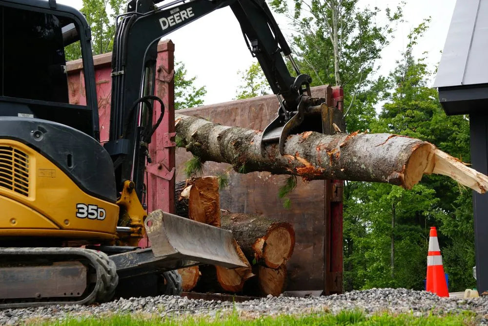 Local landscape installation in Westerlo, NY by Mack Tree Service
