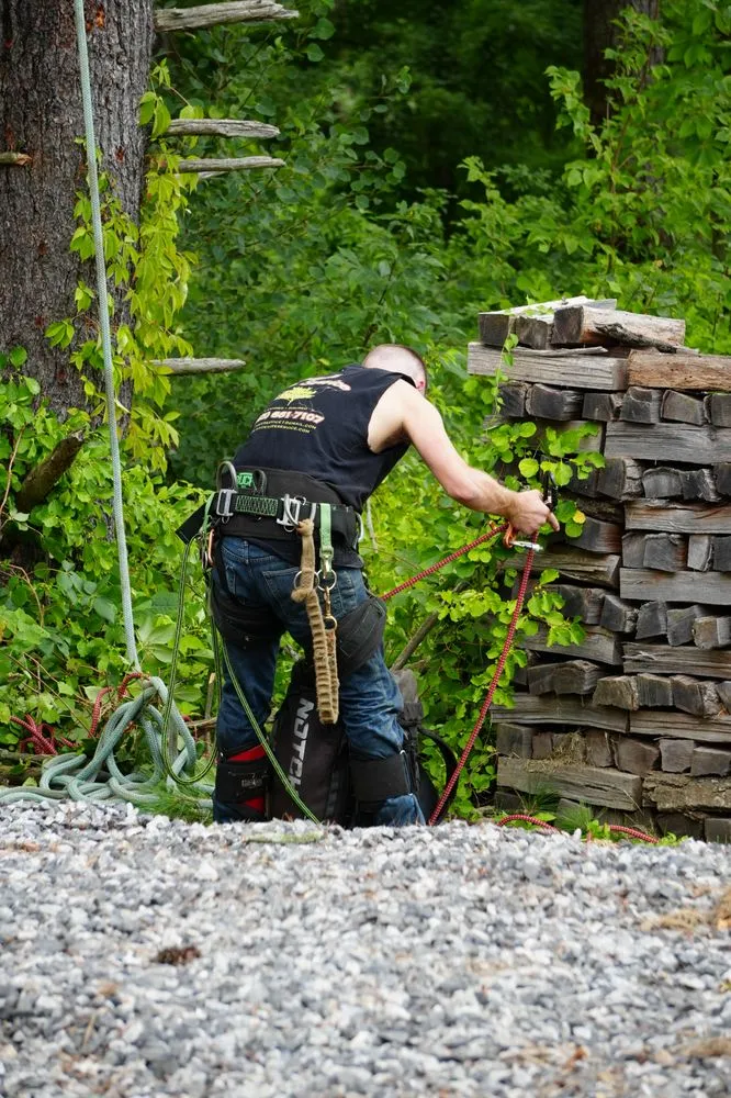 Trusted landscape installation for homes across Westerlo, NY - Mack Tree Service