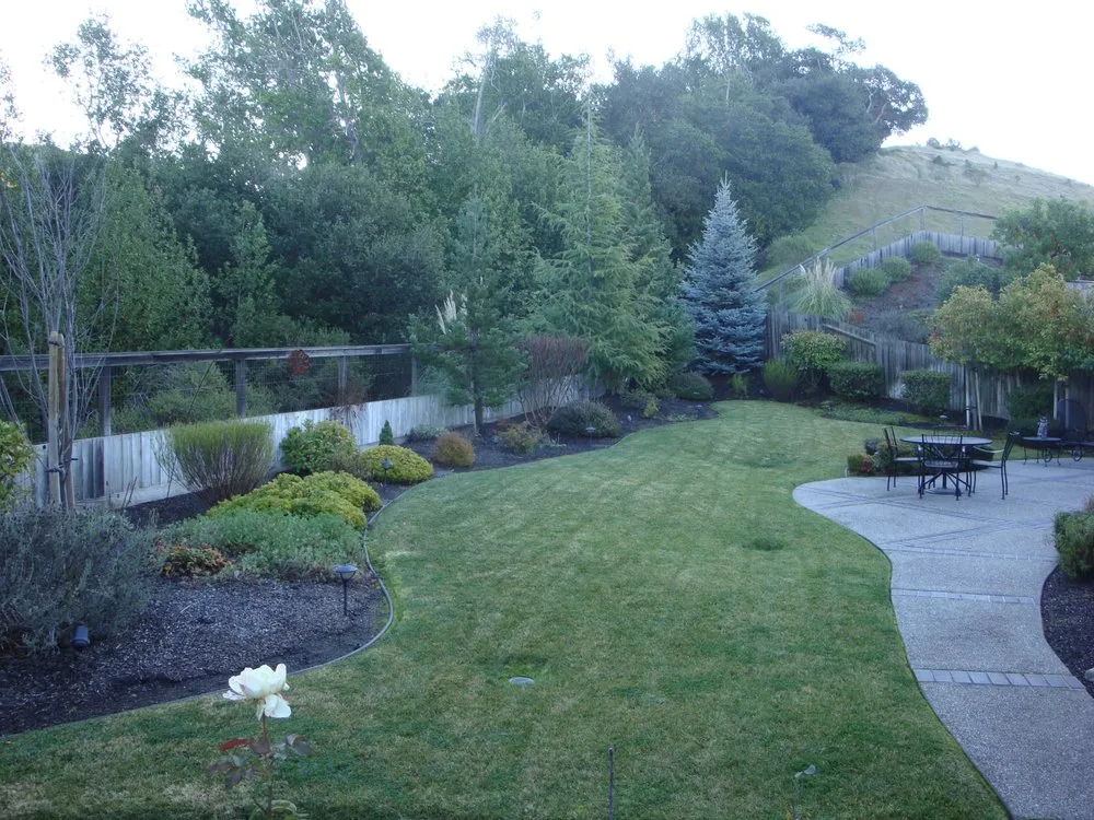 Affordable yard cleanup service for outdoor upgrades across Hayward, CA - Mackenzie Landscape Gardening