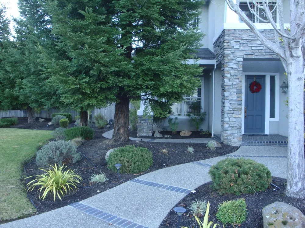 Professional lawn mowing service in Hayward, CA - Mackenzie Landscape Gardening