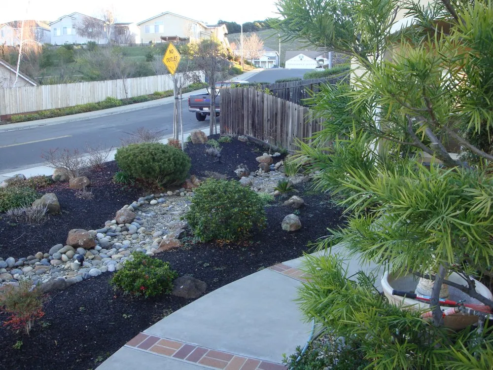 Reliable outdoor landscaping for year-round maintenance in Hayward, CA by Mackenzie Landscape Gardening