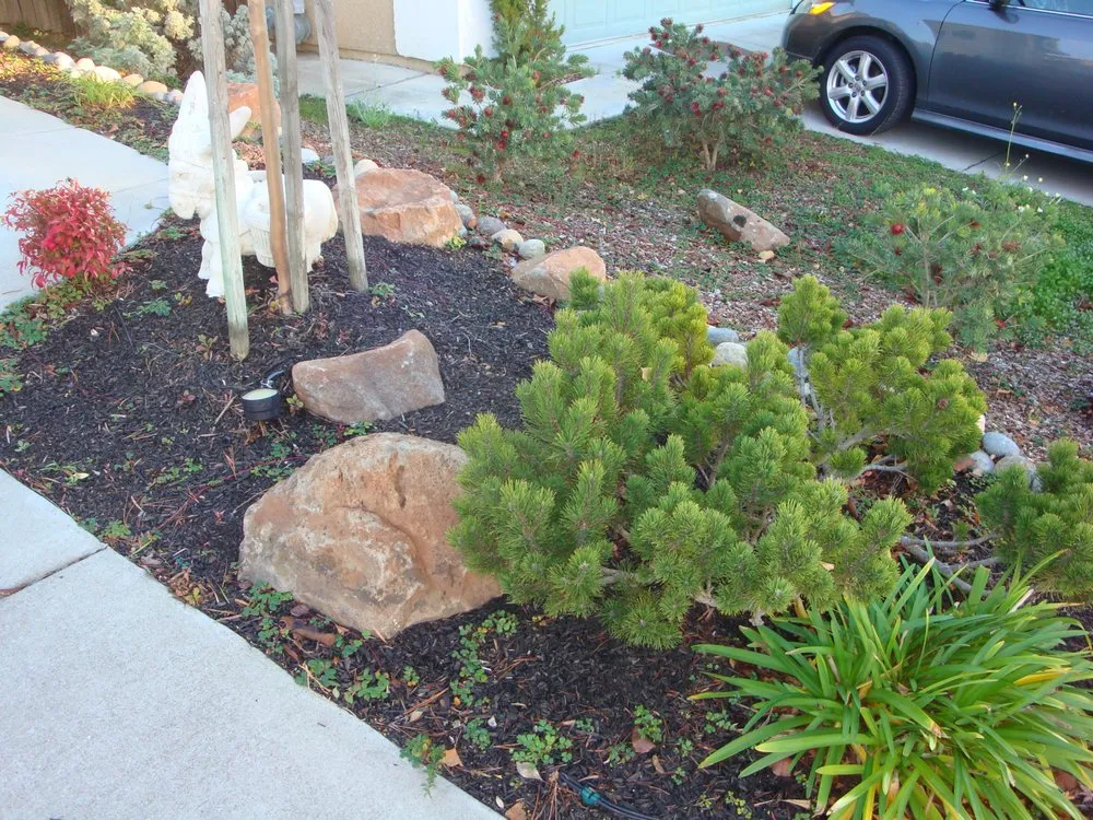Affordable yard maintenance for outdoor upgrades in Hayward, CA by Mackenzie Landscape Gardening