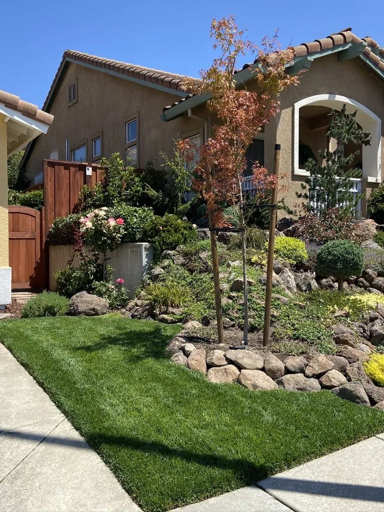 Local landscape design in Hayward, CA by Mackenzie Landscape Gardening