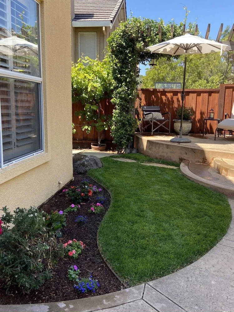 Reliable lawn mowing service in Hayward, CA by Mackenzie Landscape Gardening