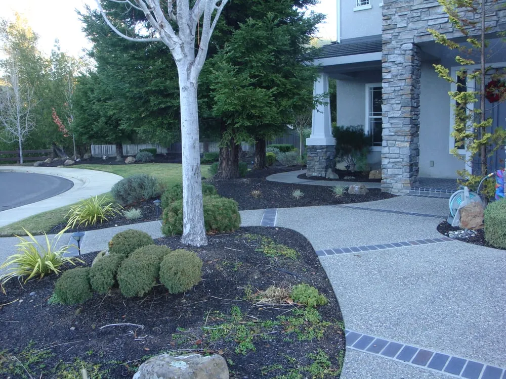 Reliable garden landscaping experts serving Hayward, CA - Mackenzie Landscape Gardening