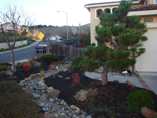 Mackenzie Landscape Gardening