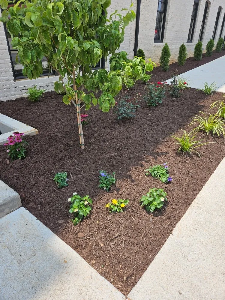 Local landscape installation for homes across Roanoke, VA - Mackey's Outdoor Creations