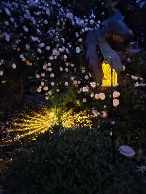 Mackey's Outdoor Creations Logo