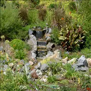 Local yard maintenance in Winchester, CA - Mackie Landscaping