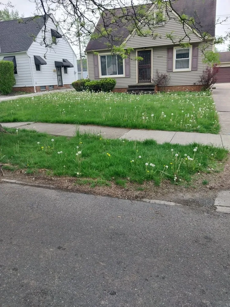 Expert residential landscaping in Newburgh Heights, OH - Mackmo 117 Lawn Care