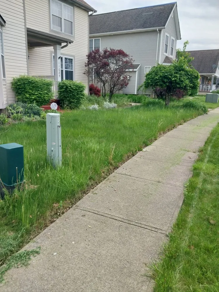 Affordable yard maintenance in Newburgh Heights, OH - Mackmo 117 Lawn Care