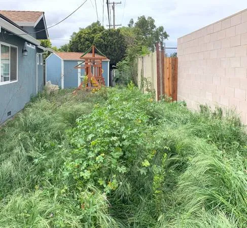 Reliable landscape installation in San Jose, CA - MACKS LANDSCAPE & TREE SERVICE