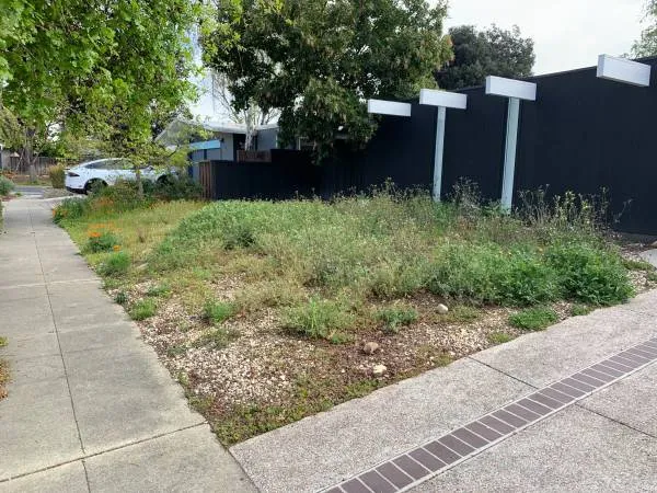 Custom yard cleanup service experts serving San Jose, CA - MACKS LANDSCAPE & TREE SERVICE