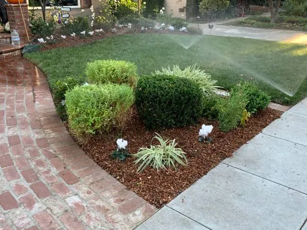 Custom landscape installation in San Jose, CA by MACKS LANDSCAPE & TREE SERVICE