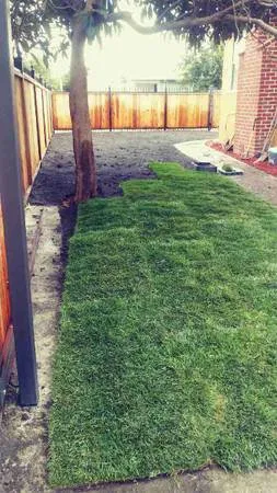 Reliable landscape design experts serving San Jose, CA - MACKS LANDSCAPE & TREE SERVICE