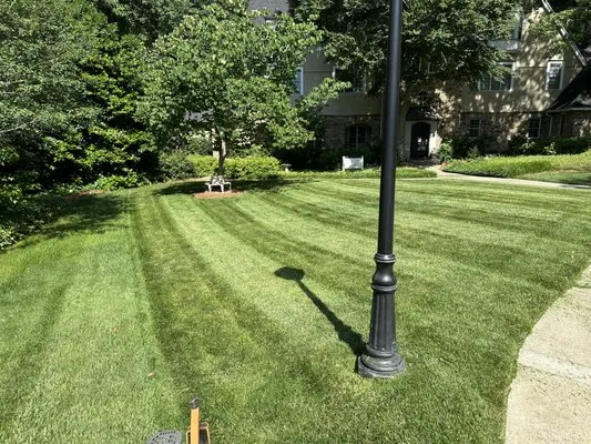 Macks Landscaping Logo