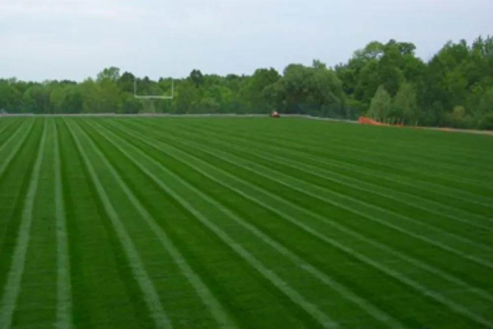 Trusted yard cleanup service in Moore, OK by Macks Lawn Care