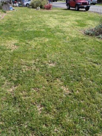 Trusted garden landscaping experts serving Roanoke, VA - Mack's Lawn Care