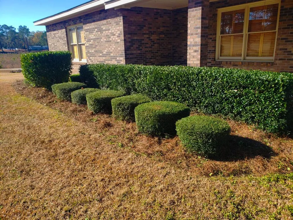 Custom lawn care service experts serving Fitzgerald, GA - Mack's Yard Care