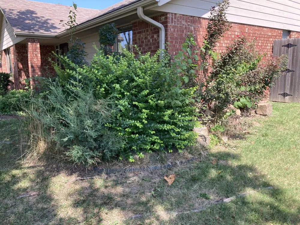 Local lawn mowing service for beautiful yards in Bartlesville, OK by MackSon Lawn Care