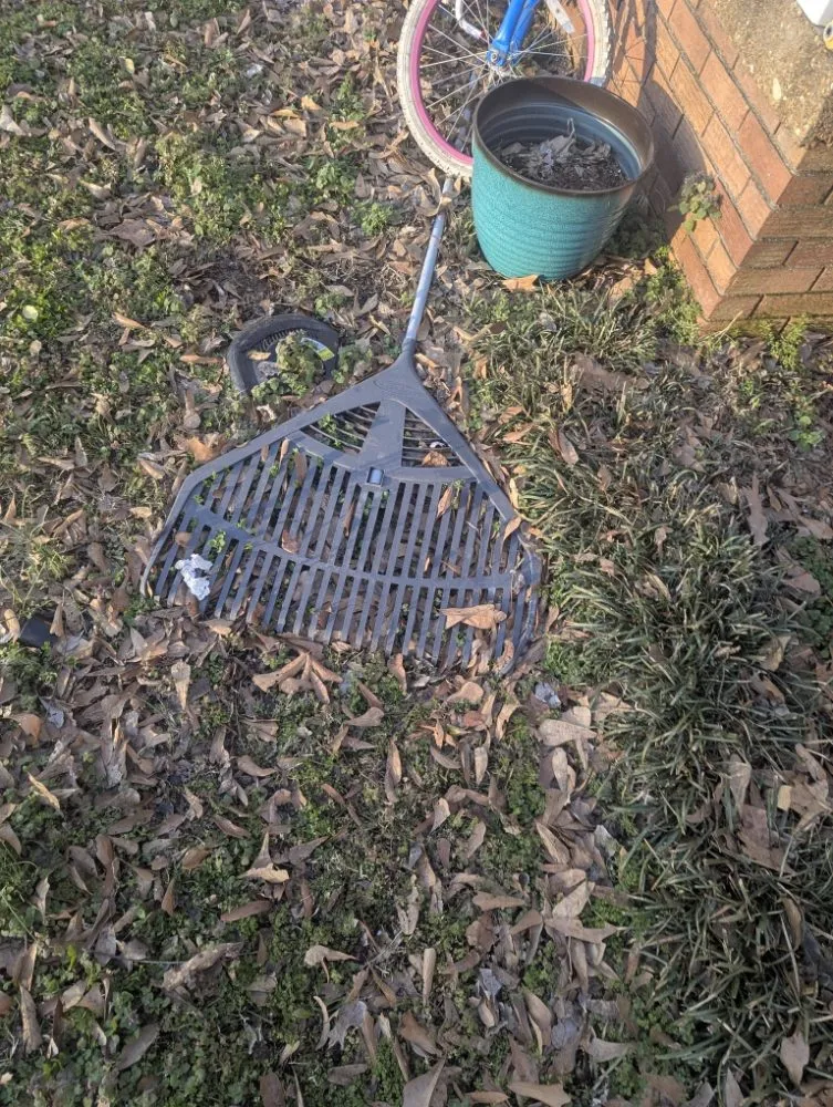 Expert yard cleanup service in Covington, TN by Macksource