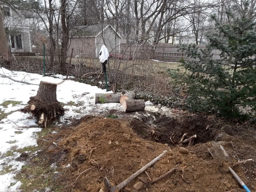Local garden landscaping with custom design across Needham Heights, MA - Maclellan Tree & Landscaping