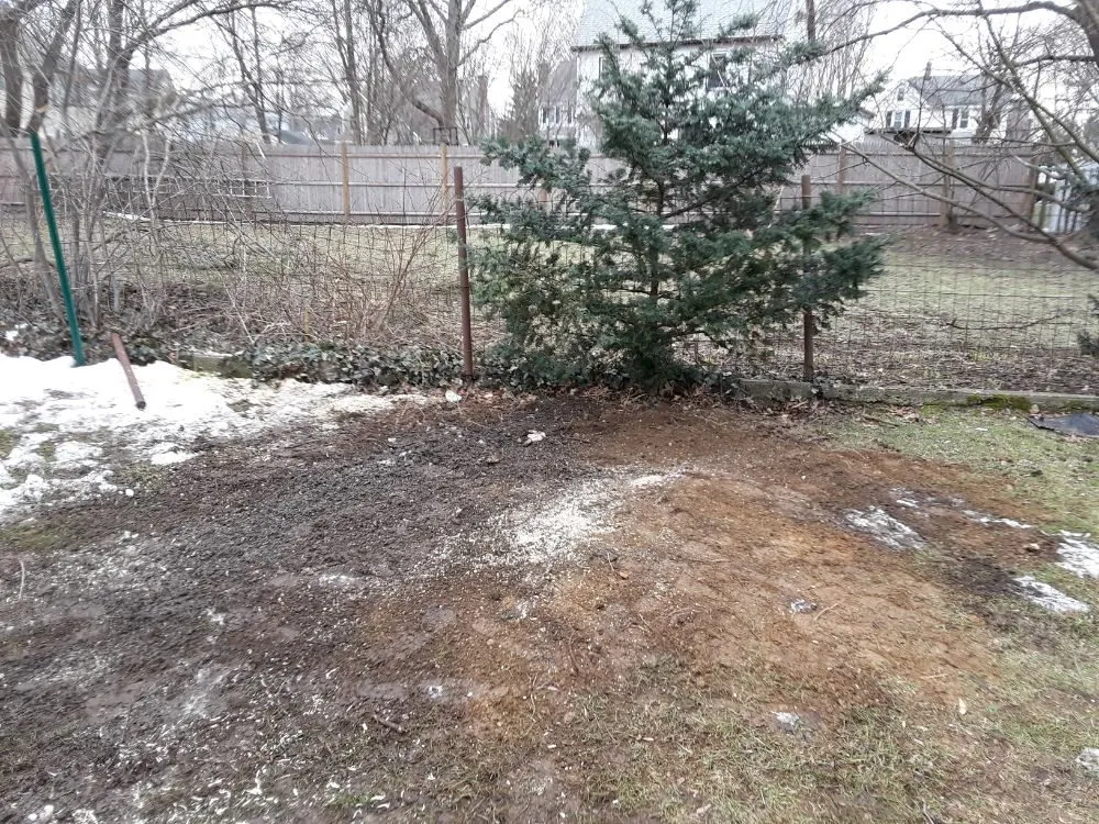 Affordable residential landscaping near you in Needham Heights, MA by Maclellan Tree & Landscaping