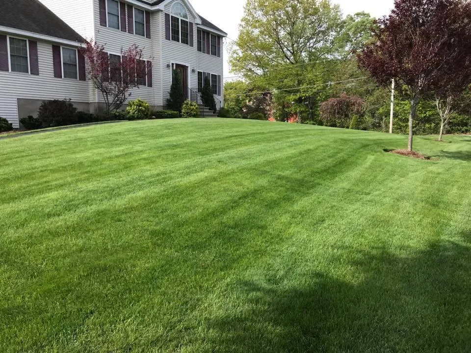 Reliable yard maintenance with custom design in Dracut, MA by MacNeill Landscaping