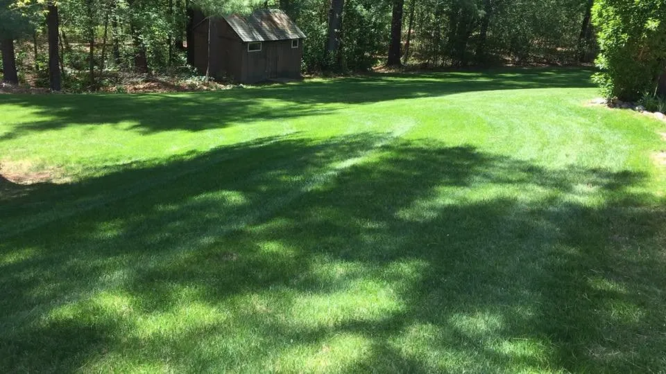 Custom garden landscaping for year-round maintenance across Dracut, MA - MacNeill Landscaping