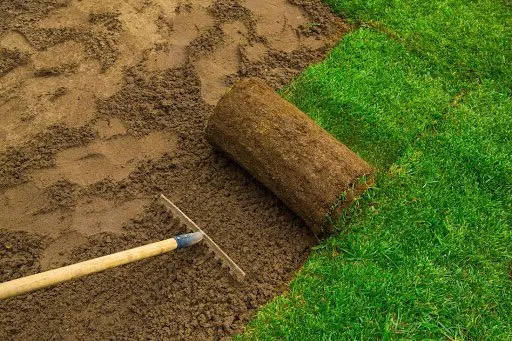 Professional landscaping services in Rockwood, TN - MACO Tree Service and Landscaping