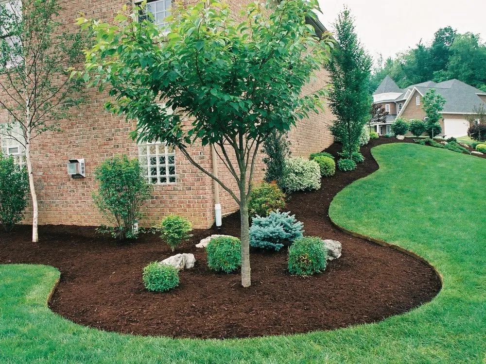 Trusted landscaping services experts serving Rockwood, TN - MACO Tree Service and Landscaping