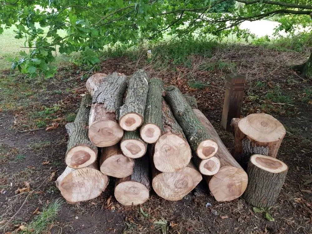 Expert landscape installation near you in Rockwood, TN by MACO Tree Service and Landscaping