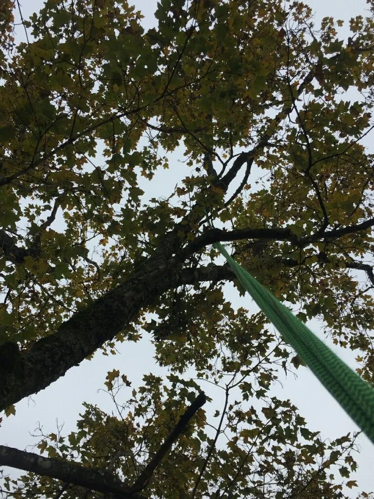 Custom residential landscaping experts serving Rockwood, TN - MACO Tree Service and Landscaping