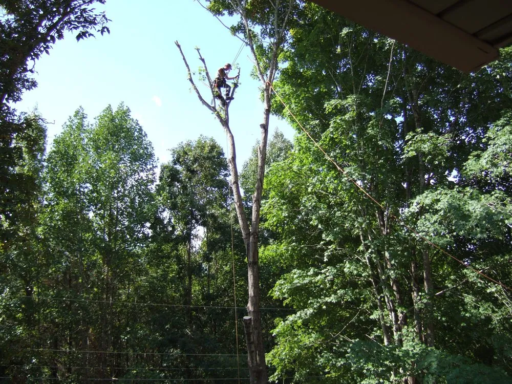 Custom residential landscaping for homes across Rockwood, TN - MACO Tree Service and Landscaping