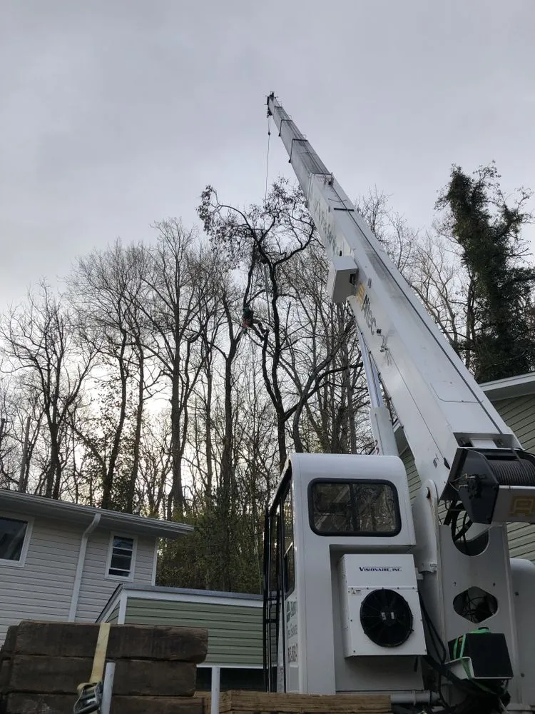 Top-rated residential landscaping experts serving Rockwood, TN - MACO Tree Service and Landscaping