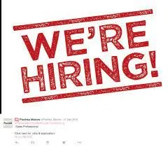 Top-rated landscaping services in Macomb, MI by Macomb Lawn Service