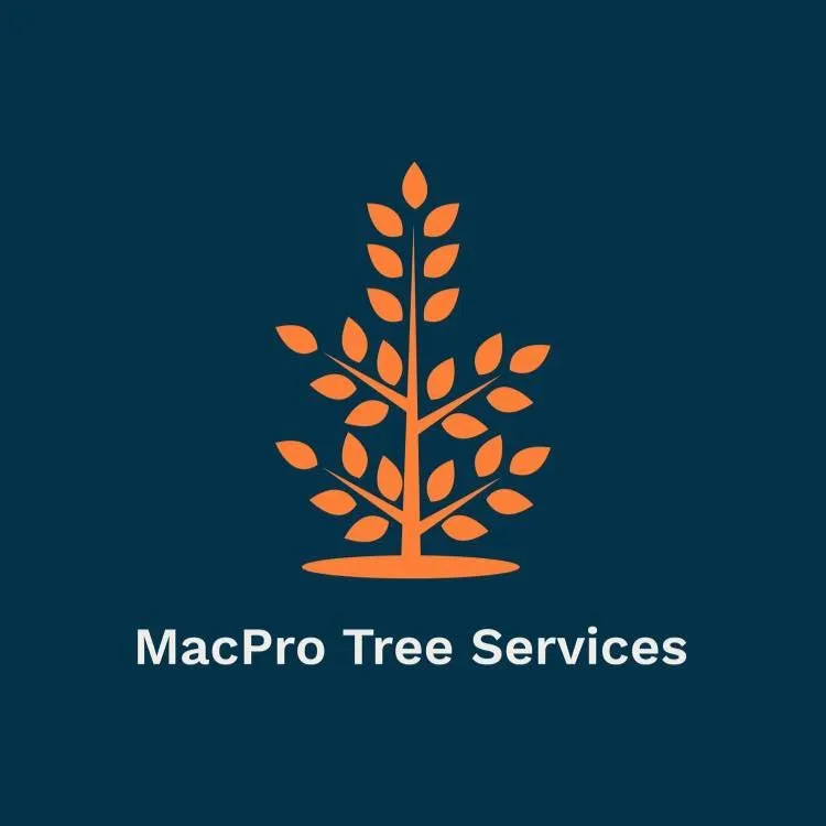 Local landscape design for outdoor upgrades across Clarksville, TN - MacPro Tree Service