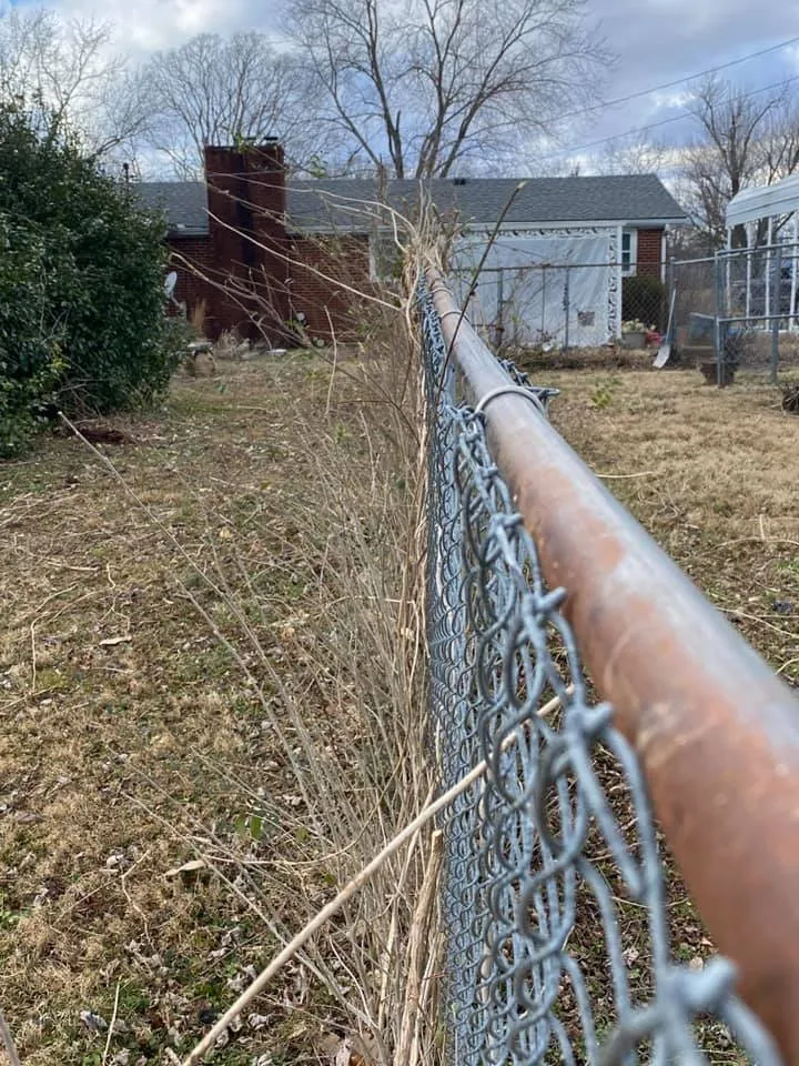 Affordable landscaping services in Clarksville, TN by MacPro Tree Service