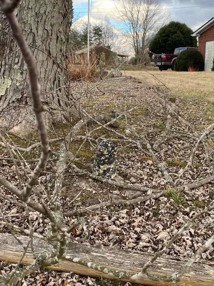 Affordable landscape installation for homes in Clarksville, TN by MacPro Tree Service