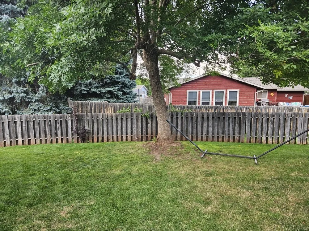 Local yard cleanup service in Box Elder, SD by Mac's Exterior Solutions