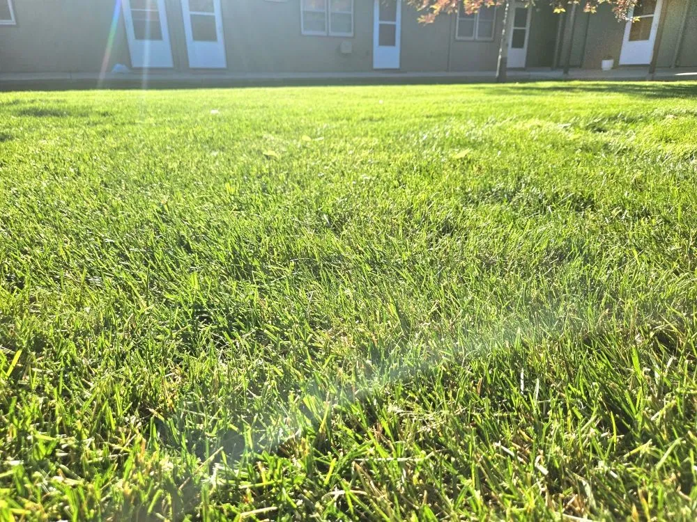 Custom landscaping services in Box Elder, SD by Mac's Exterior Solutions