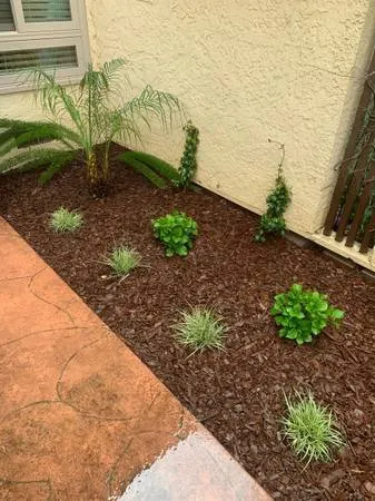 Affordable garden landscaping in San Jose, CA - Mac’s Landscape Yard Clean Up’s