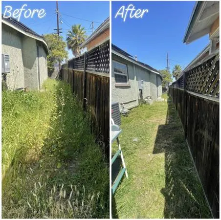 Top-rated yard maintenance for homes in San Jose, CA by Mac’s Landscape Yard Clean Up’s