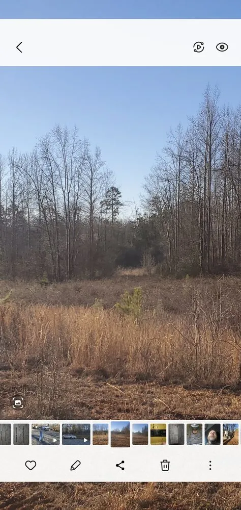 Affordable yard cleanup service for homes in Kings Mountain, NC by Mac's lawn & Rental