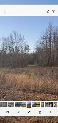 Mac's lawn & Rental Logo