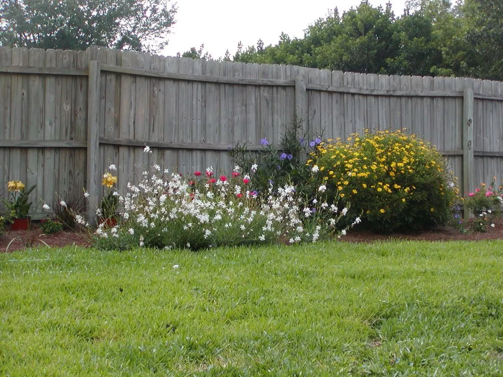Affordable landscaping services experts serving Lakeland, FL - Mac's Lawn Care & Landscaping